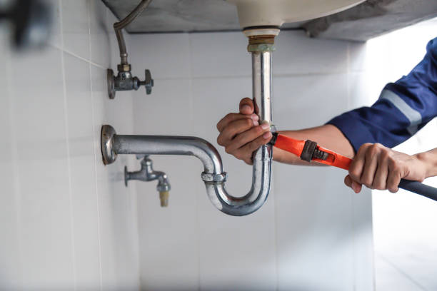 Best Plumbing Inspection Services  in Springfield, NE
