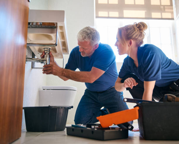 Best Clogged Drain Plumber  in Springfield, NE